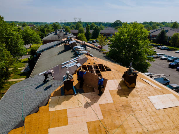 Best Best Roofing Contractors  in O, MI