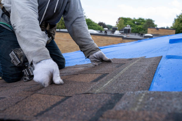 Best Best Roofing Contractors  in O, MI