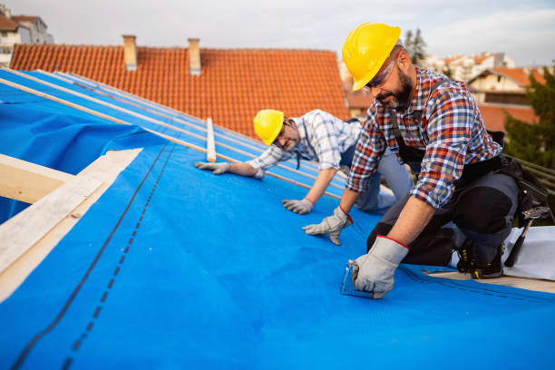 Professional Roofing Contractor in Mio, MI